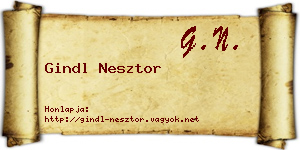 Gindl Nesztor névjegykártya